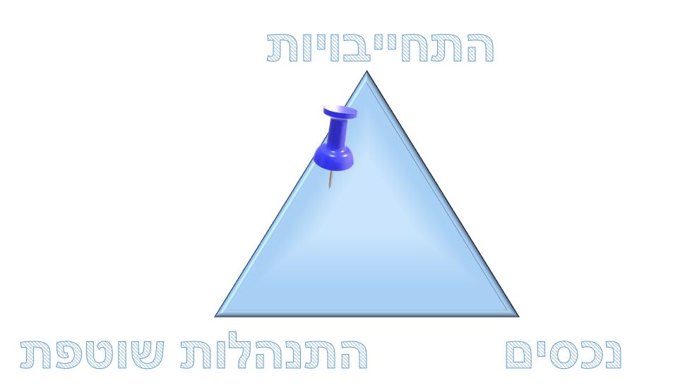 התנהגות שונאת סיכון - מפקירים את החסכונות כדי לצמצם התחייבויות